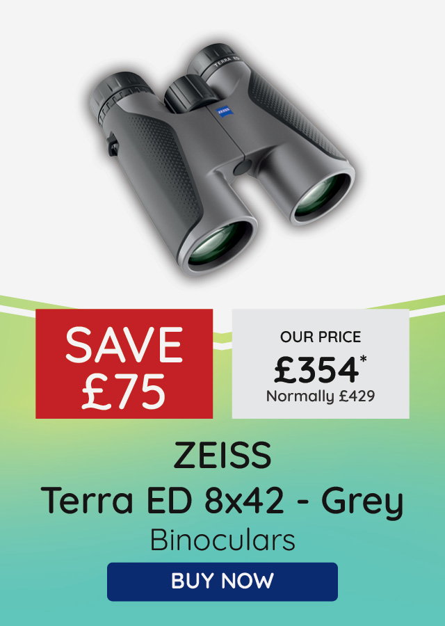 ZEISS Terra ED 8x42 Binocular - Grey