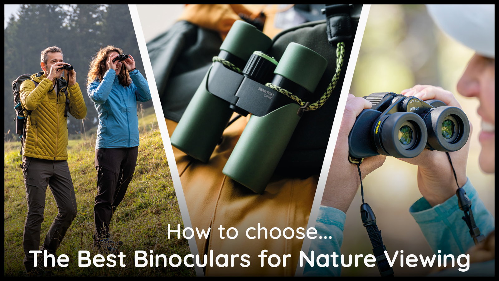 Best Binos for Nature Blog