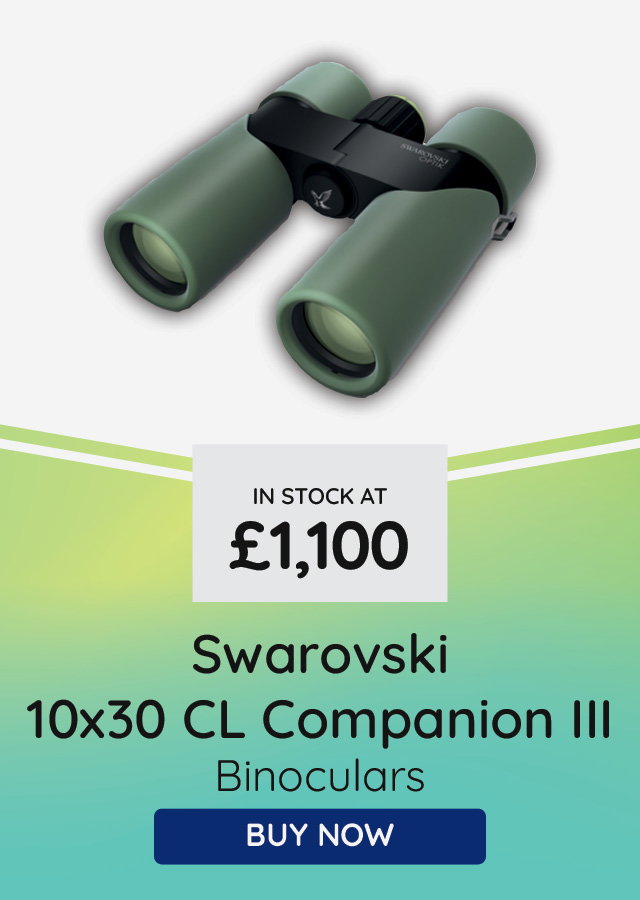 Swarovski 10x30 CL Companion III