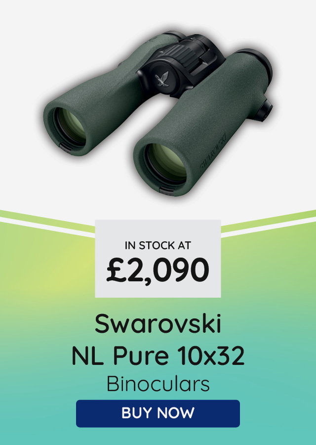 Swarovski NL Pure 10x32 