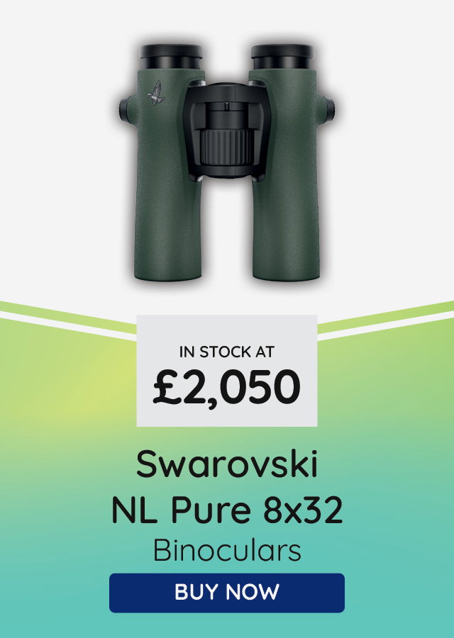 Swarovski NL Pure 8x32
