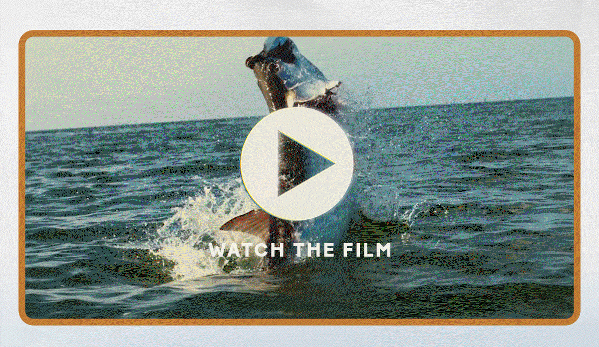 Watch the Film