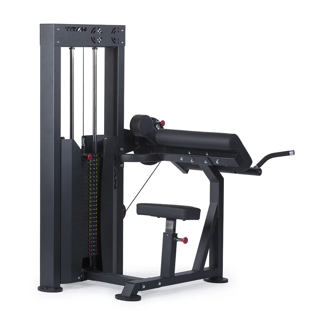Image of Selectorized Bicep and Tricep Machine