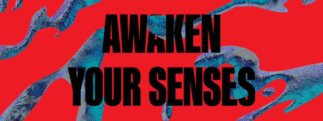 Awaken Your Senses