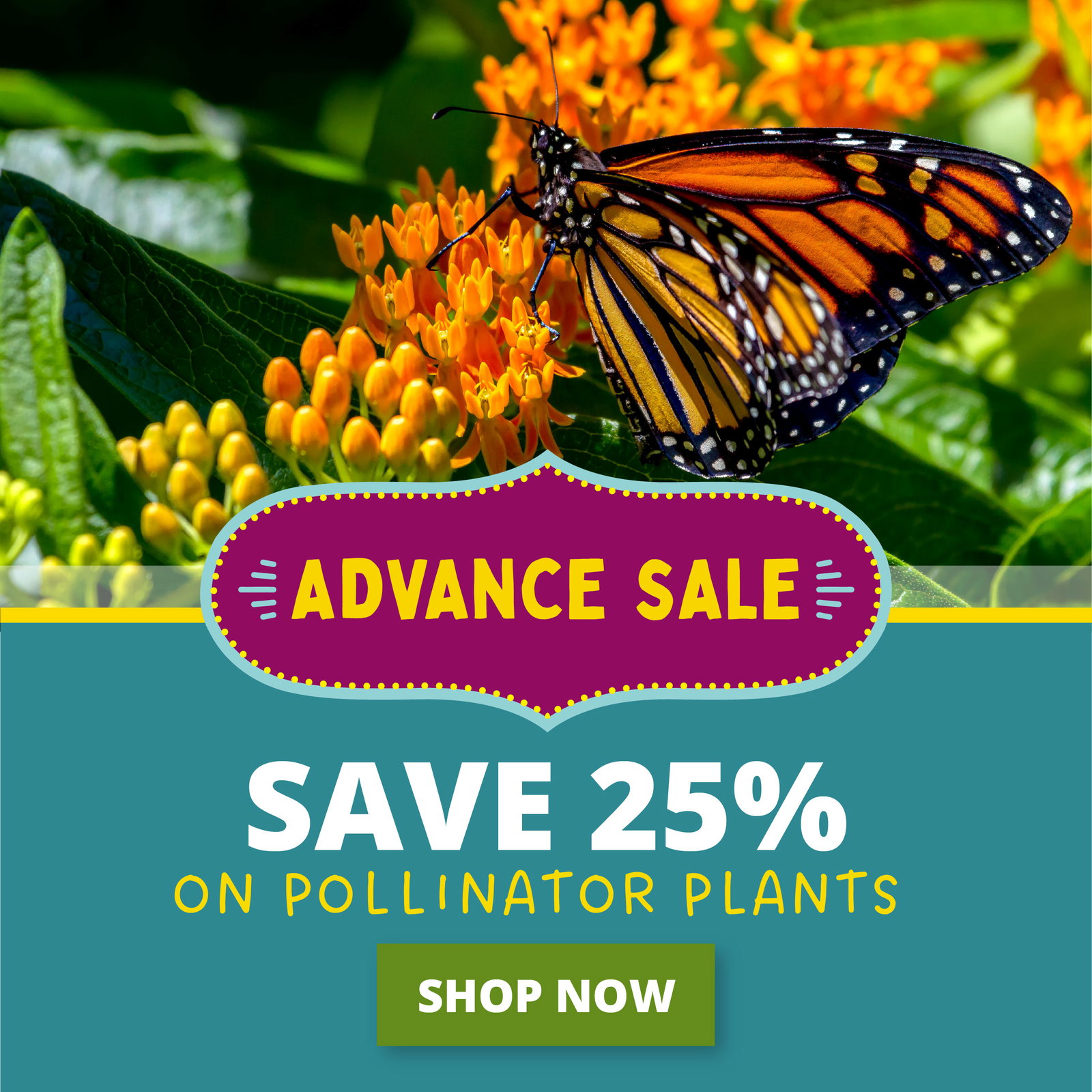 Advance sale