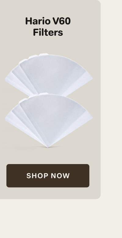Hario V60 Filters