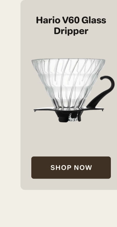 Hario V60 Glass Dripper