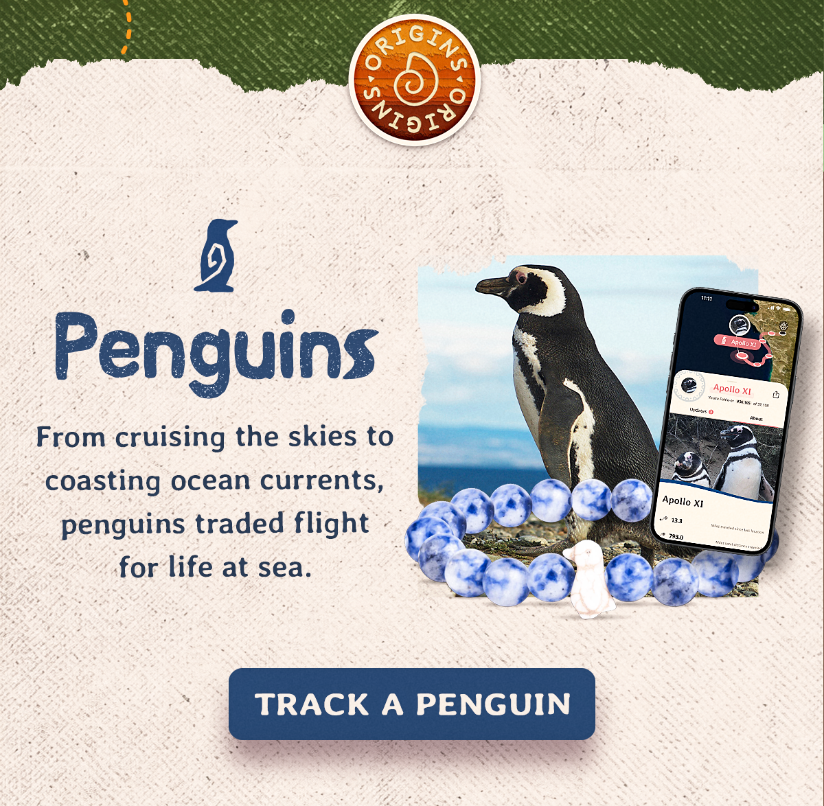 From cruising the skies to coasting ocean currents, penguins traded flight for life at sea. Track a penguin!