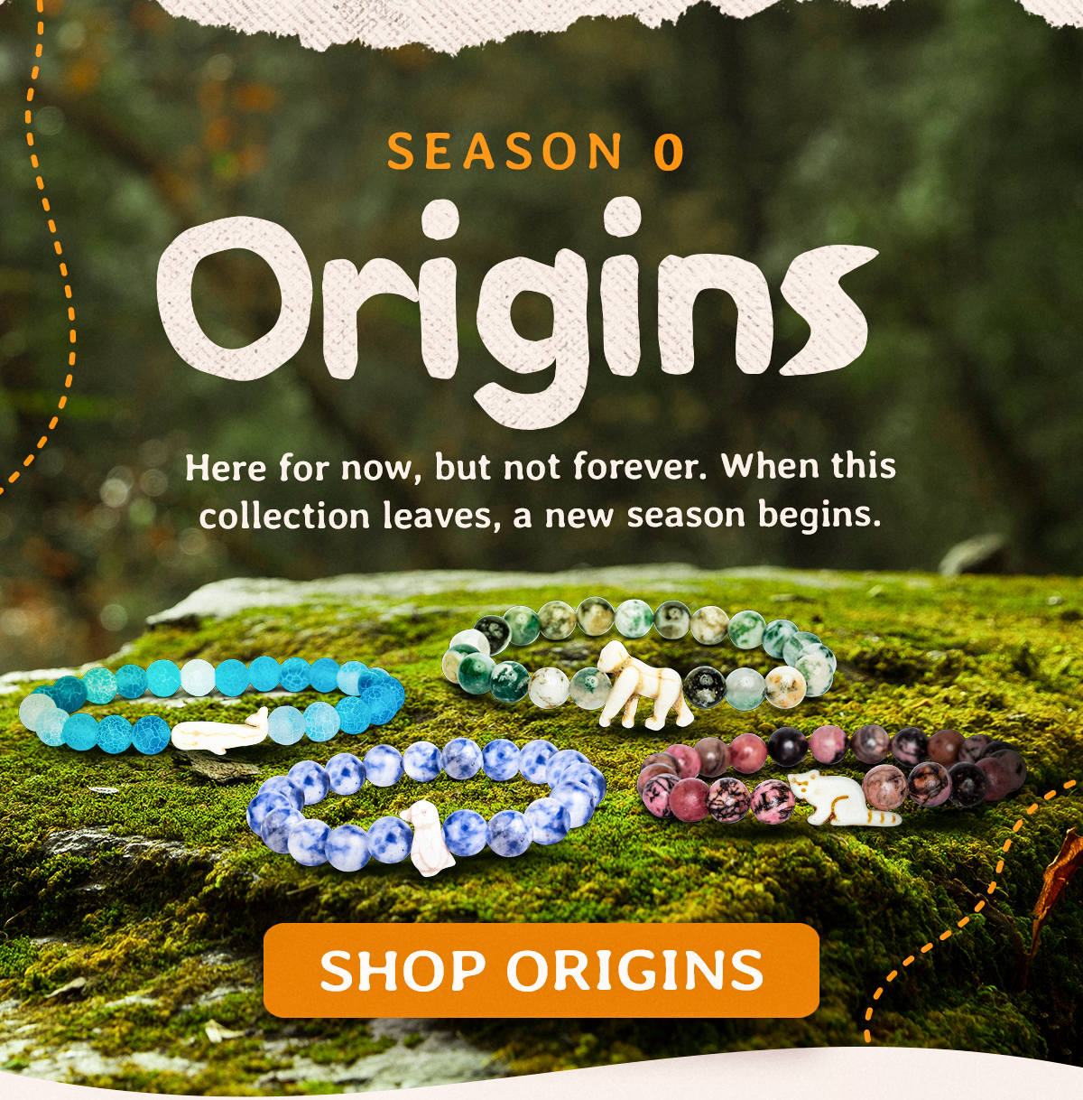 These animals are here for now, but they won’t be forever. When this collection leaves, a new season will begin. This season has been all about exploring the incredible evolutionary journeys of these animals, from their ancient ancestors to their modern species.