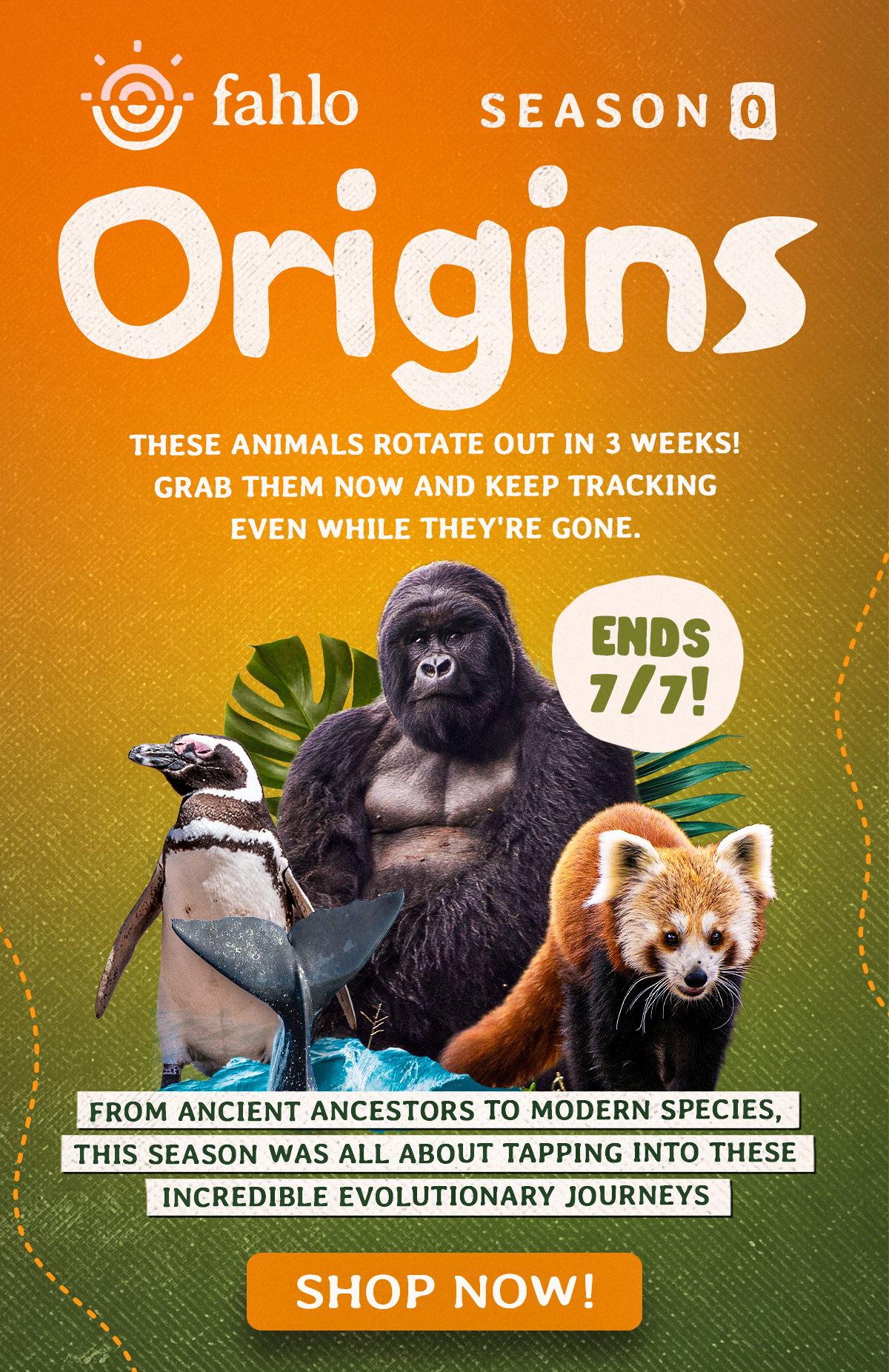 These animals rotate out every three weeks! Don’t miss out on this opportunity to grab them and keep track of them even while they’re away.
