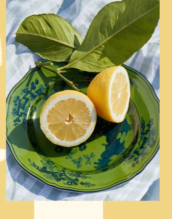 Explore The Limoncello Collection