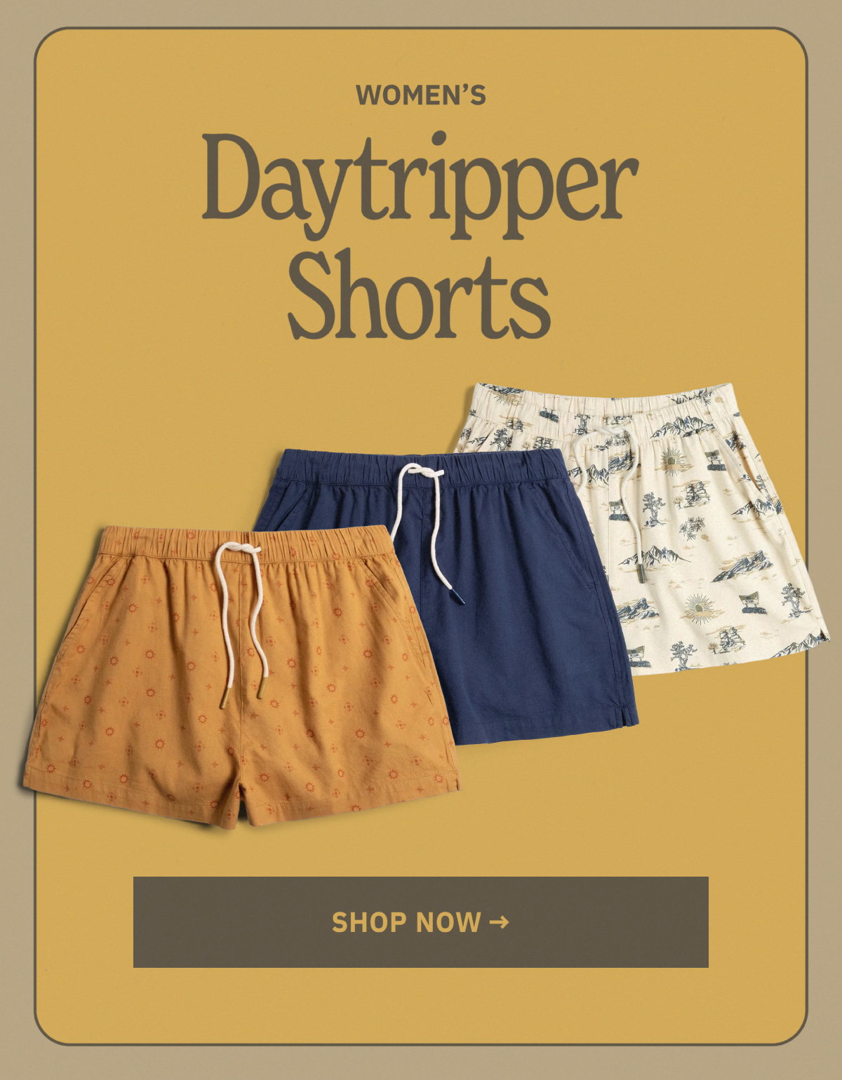 Women's Daytripper Shorts - Shop Now