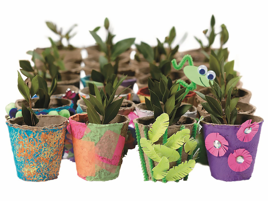 Decorate Your Own Seeds Pots - Set of 24