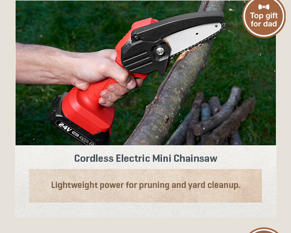 Cordless Electric Mini Chainsaw