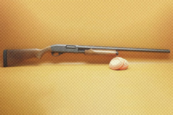 Shotguns