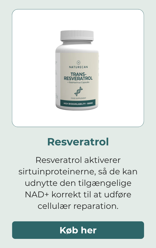 Resveratrol aktiverer proteinerne, så de kan udnytte NAD+ korrekt til at gennemføre processerne