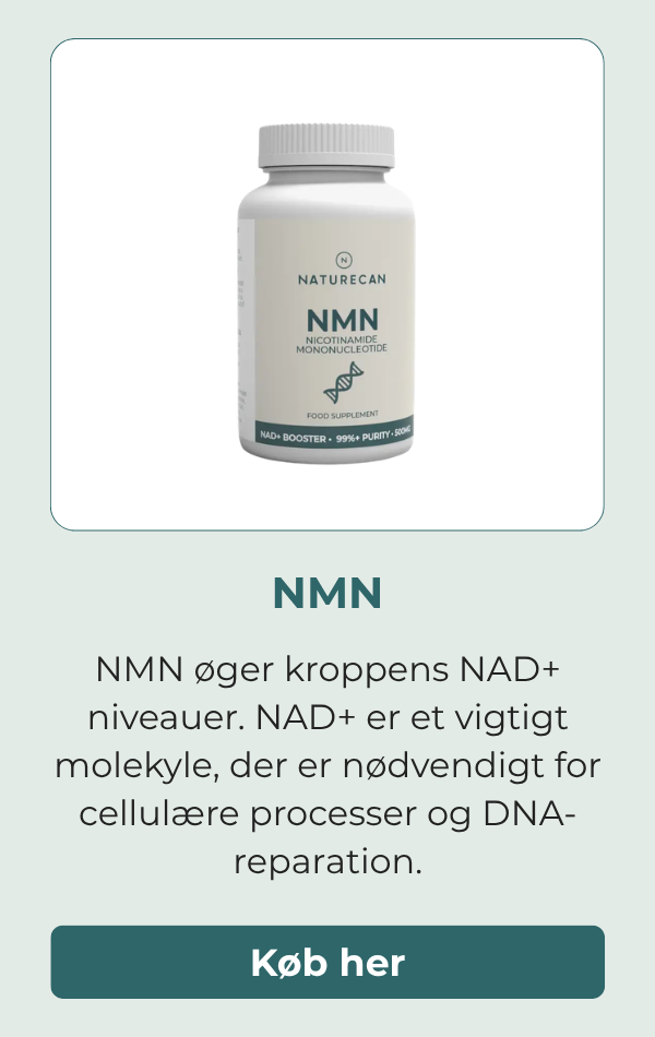 NMN øger NAD+-niveauet, hvilket er vigtigt for, at cellulære processer kan finde sted