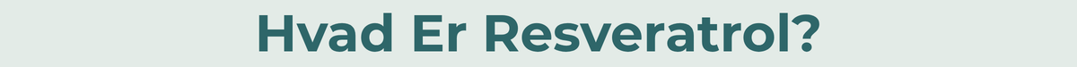 Hvad er resveratrol