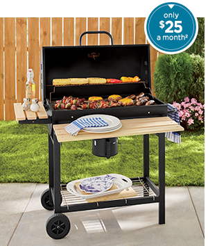 Fire Sense Backyard Charcoal Grill