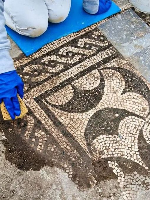 Lost Roman Villa Uncovered After ‘Clandestine’ Excavation