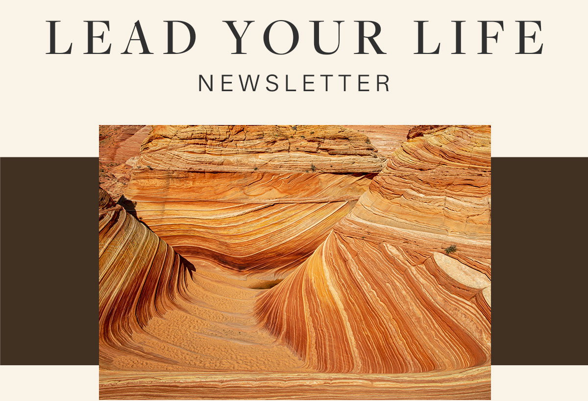 Lead Your Life Newsletter.