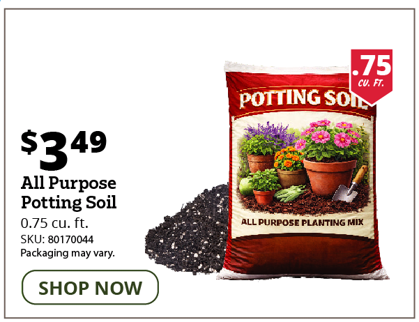 All-Purpose Potting SoilSoil