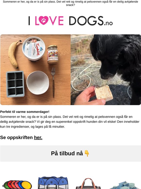 Lag din egen avkjølende hundeis🍧🐶