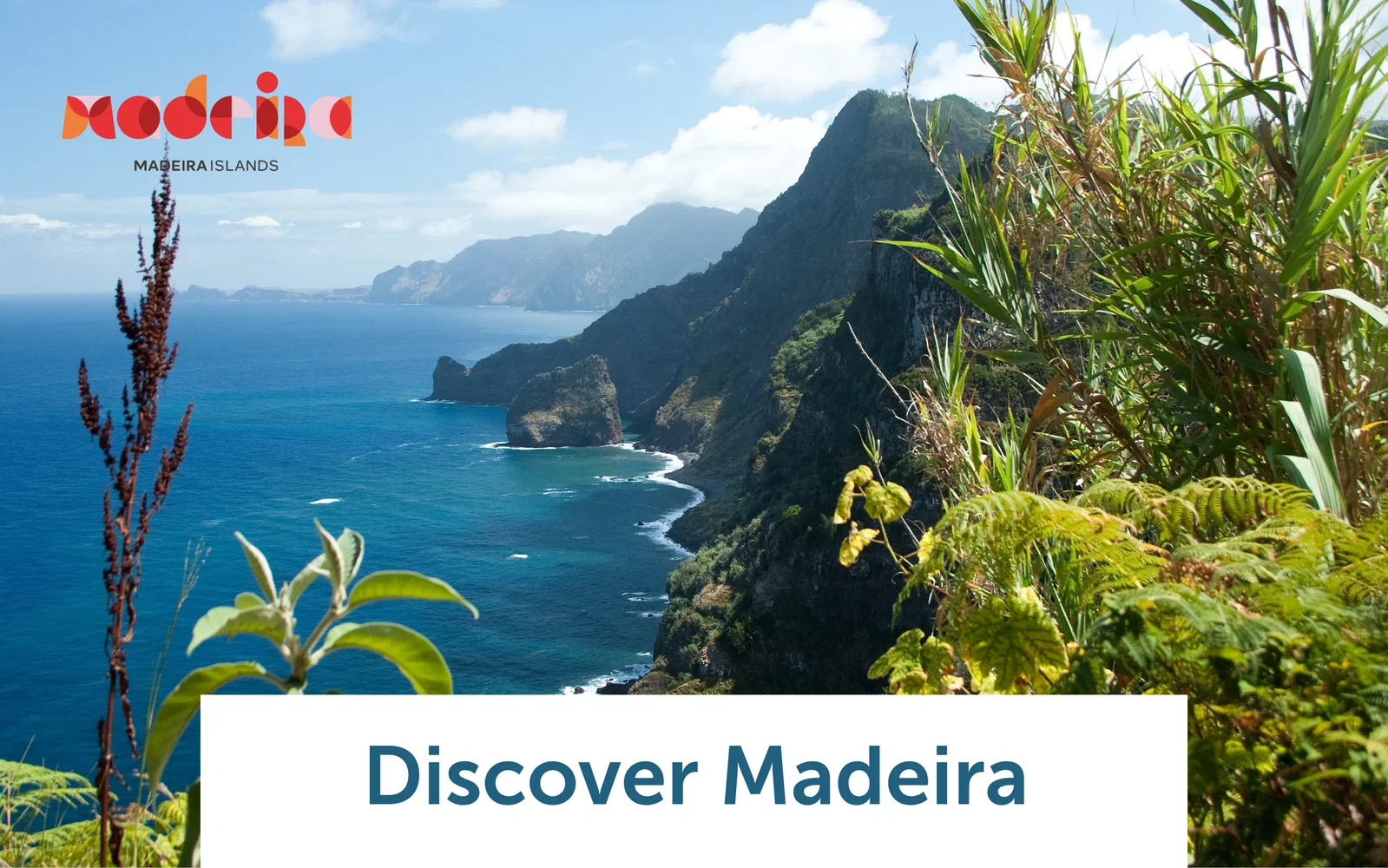 Luxury Boutique Madeira Escape