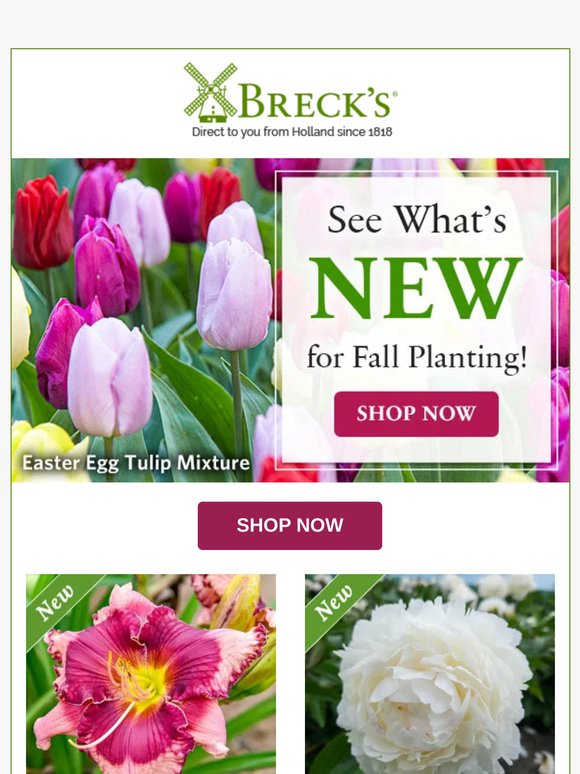 🎯 Garden Picks That Hit the Mark