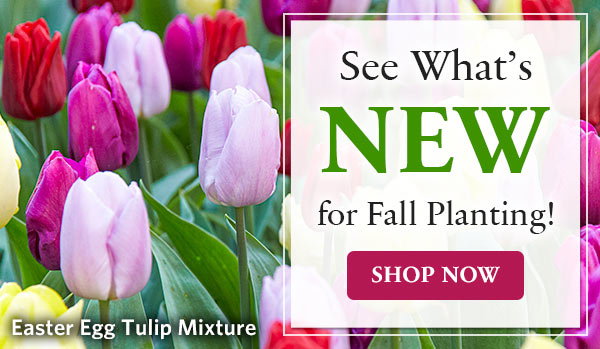 Fall-Planted Landscaping Quantities