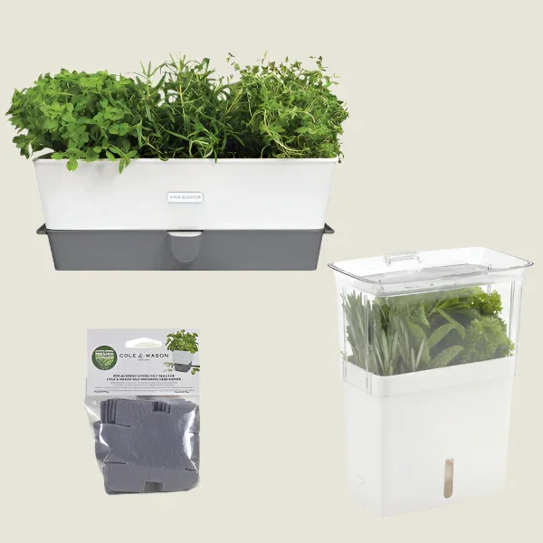 Image of Triple Herb Keeper & Refill Bundle