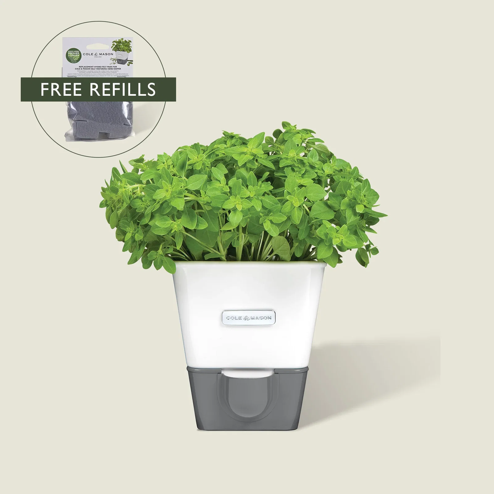 Image of Burwell Self-Watering Potted Herb Keeper