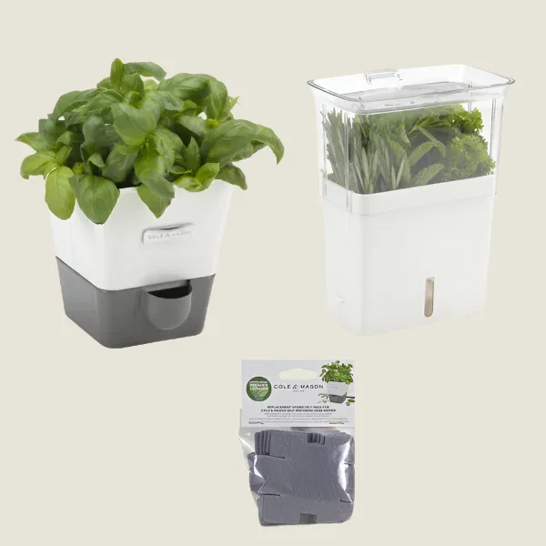 Image of Single Herb Keeper & Refill Bundle