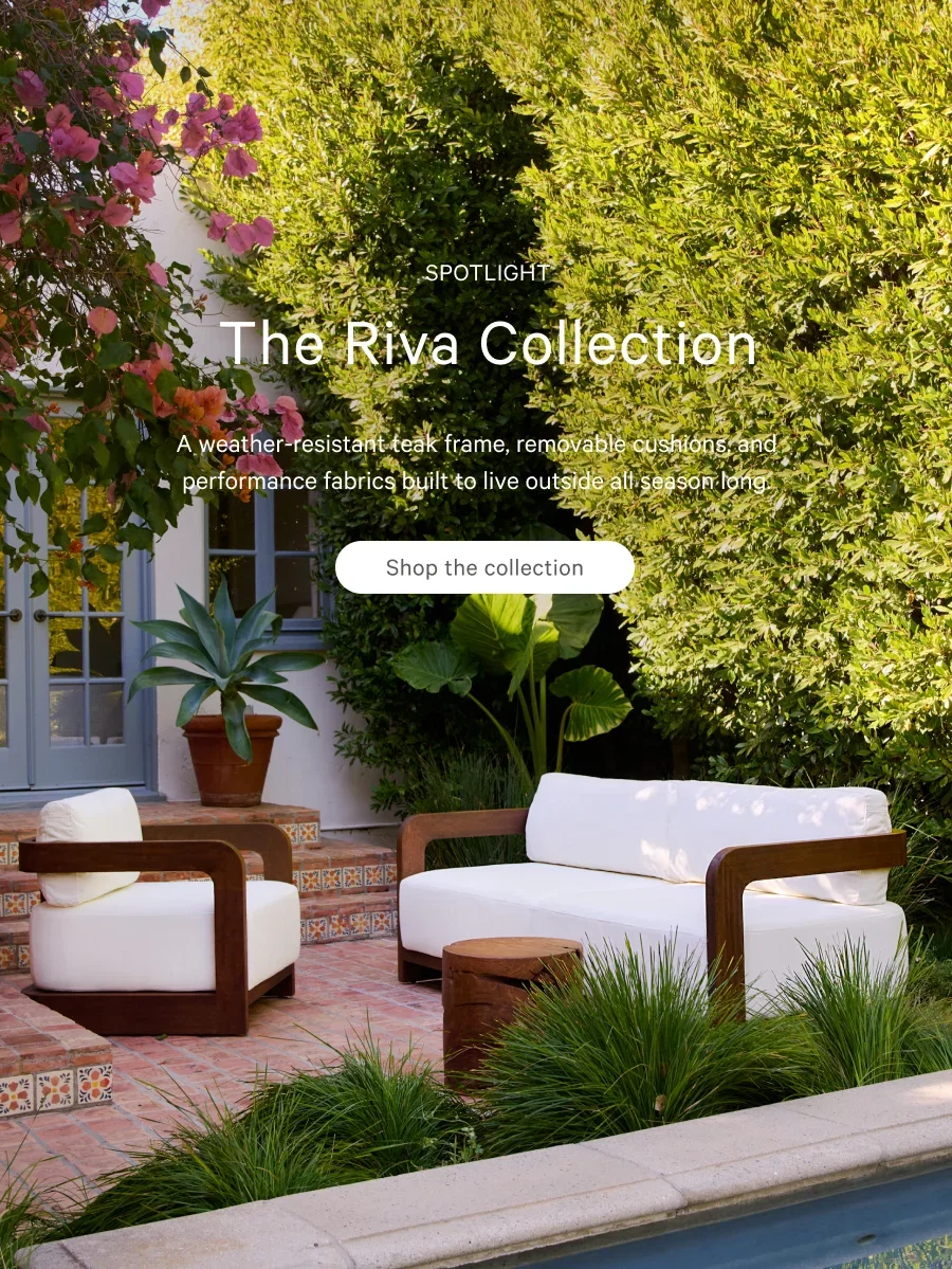 Shop the collection