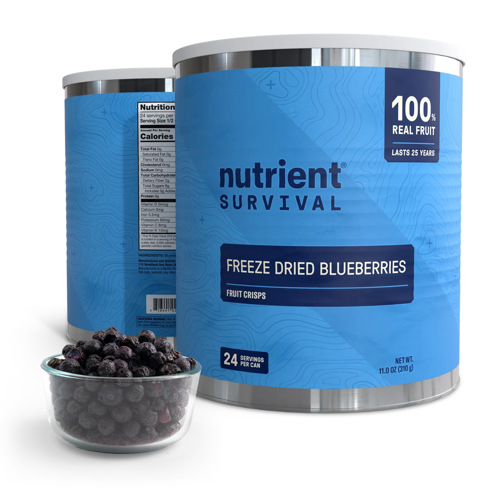 Image of Freeze Dried Blueberries #10 Can