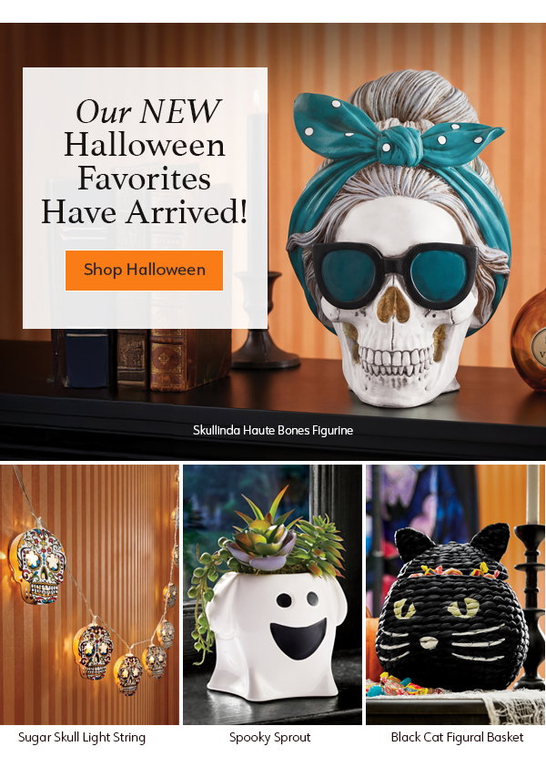 Our New Halloween Favorites Have Arrived Shop Halloween