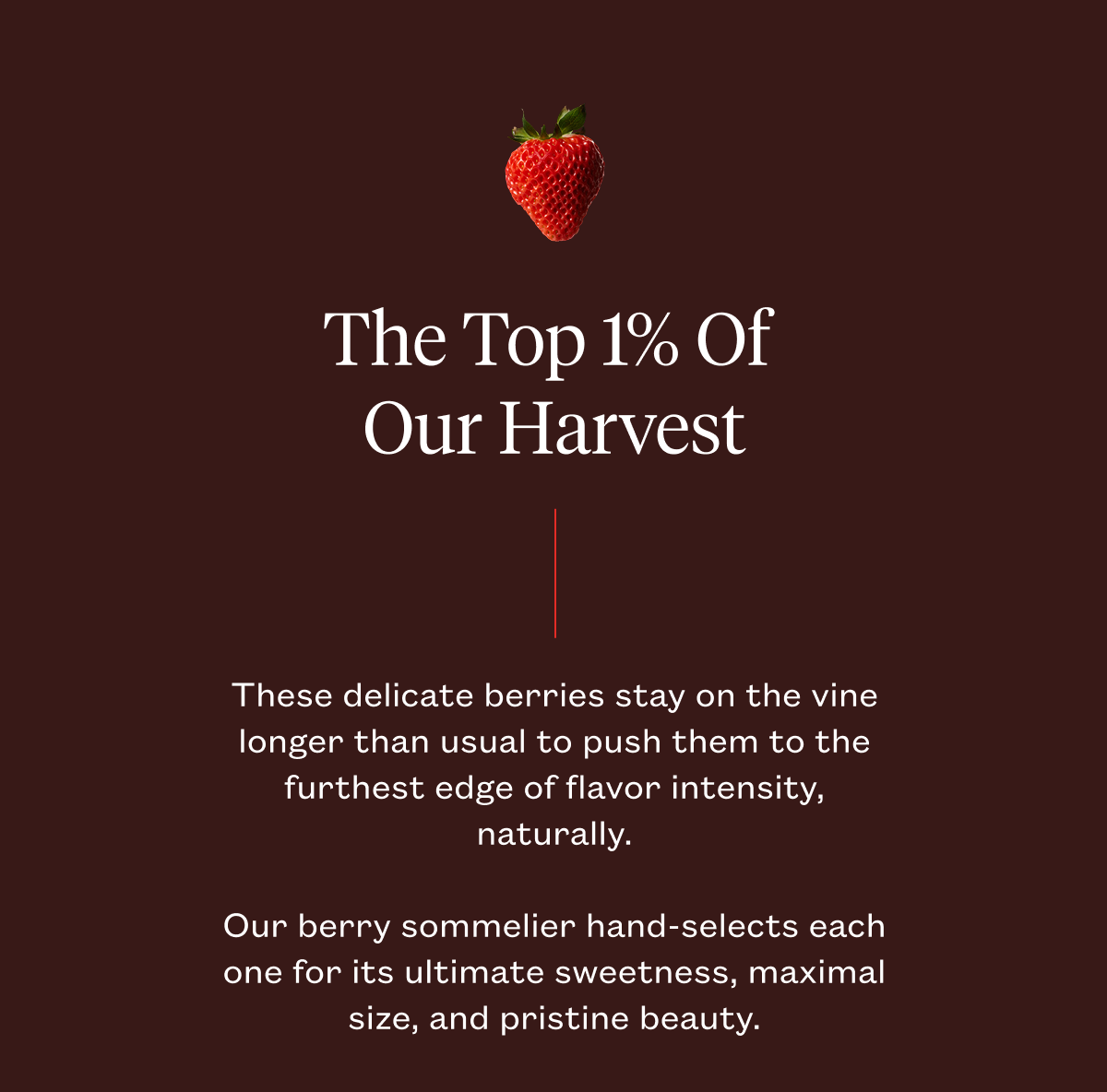 The Top 1% of our Harvest