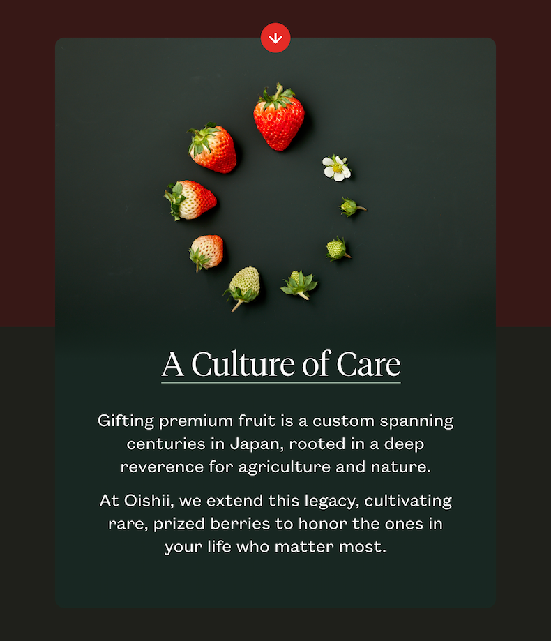 A Culture of Care
