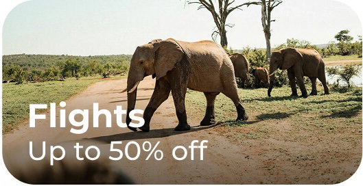 50% off flights