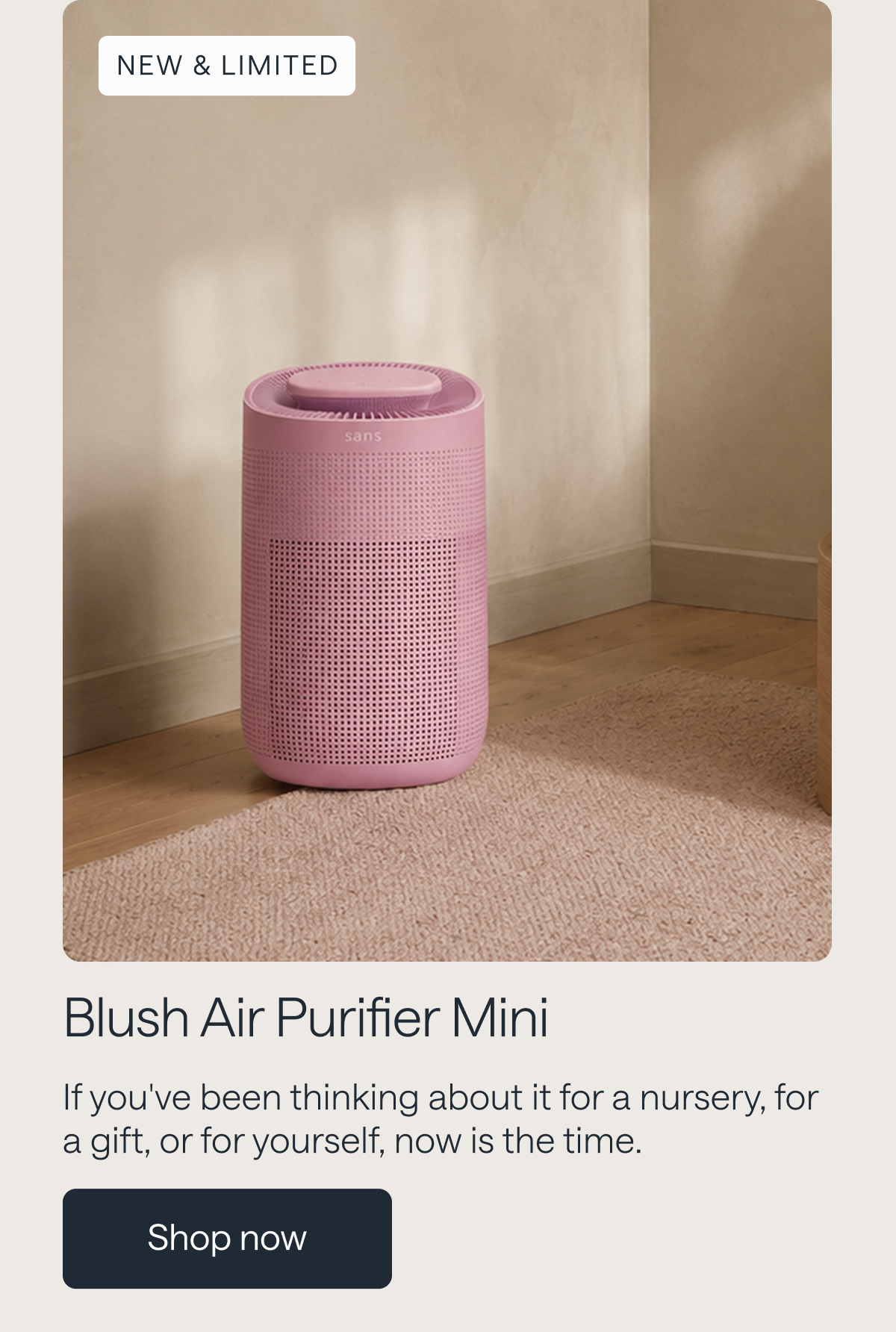 Blush Air Purifier Mini. Shop Now.
