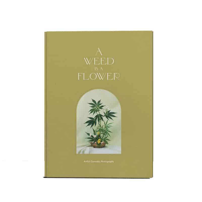 Image of A Weed is a Flower Book