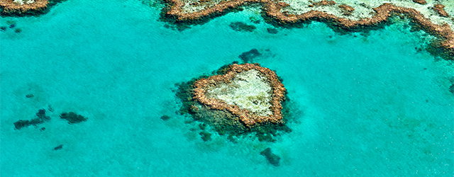 Fiji & New Zealand