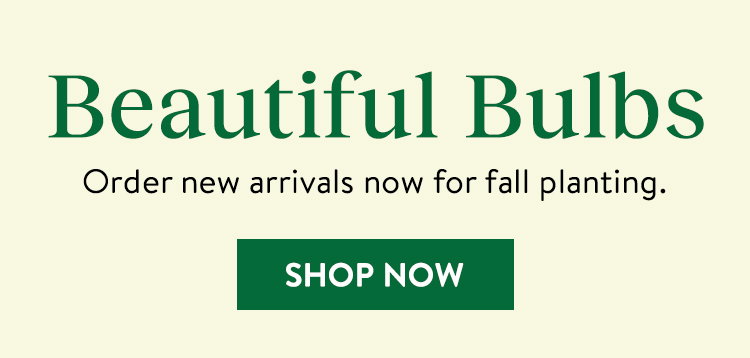 New For Fall