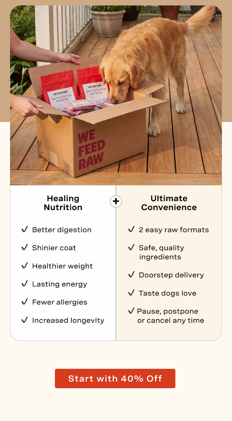 Healing Nutrition + Ultimate Convenience