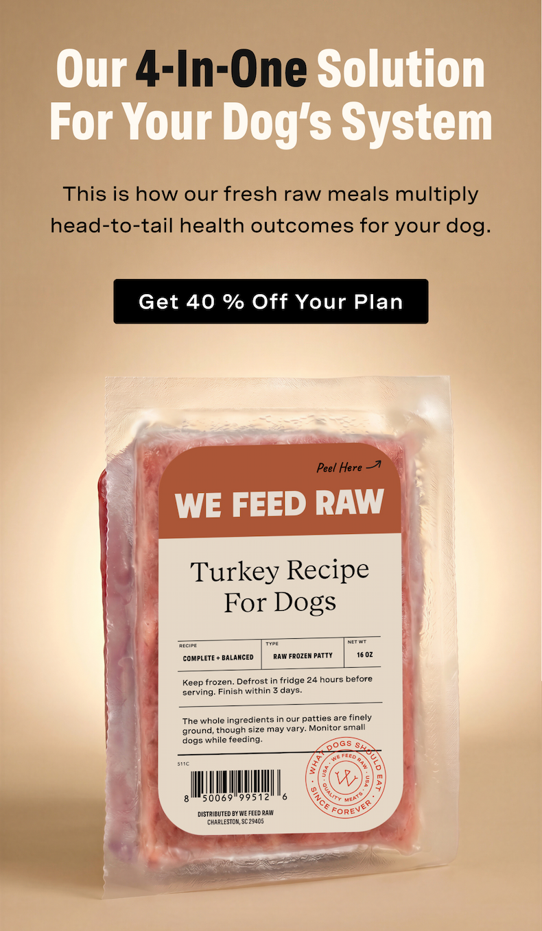 OUr 4-in-One Solution for Your Dog's System: This is how our fresh raw meals multiply head-to-tail health outcomes for your dog.