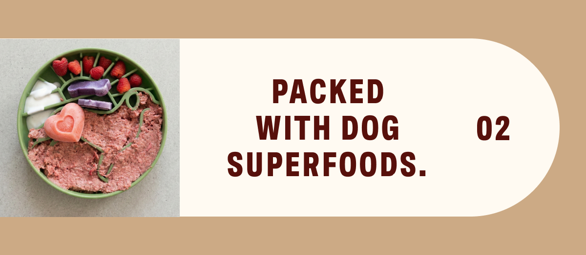 Packed With Dog Superfoods