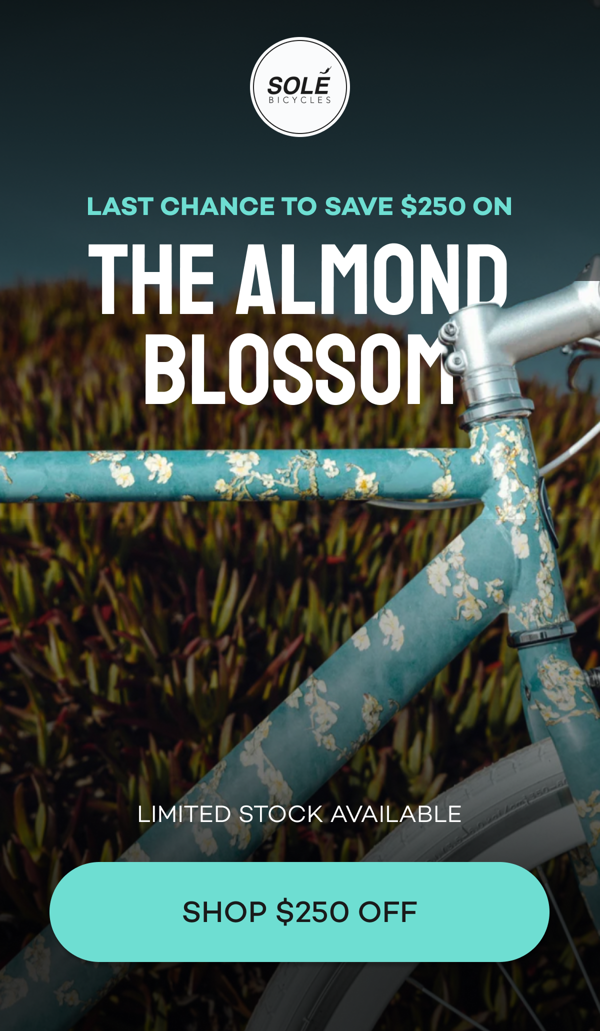 Last chance to save $250 on the Almond Blossom bicycle. Limited stock available.