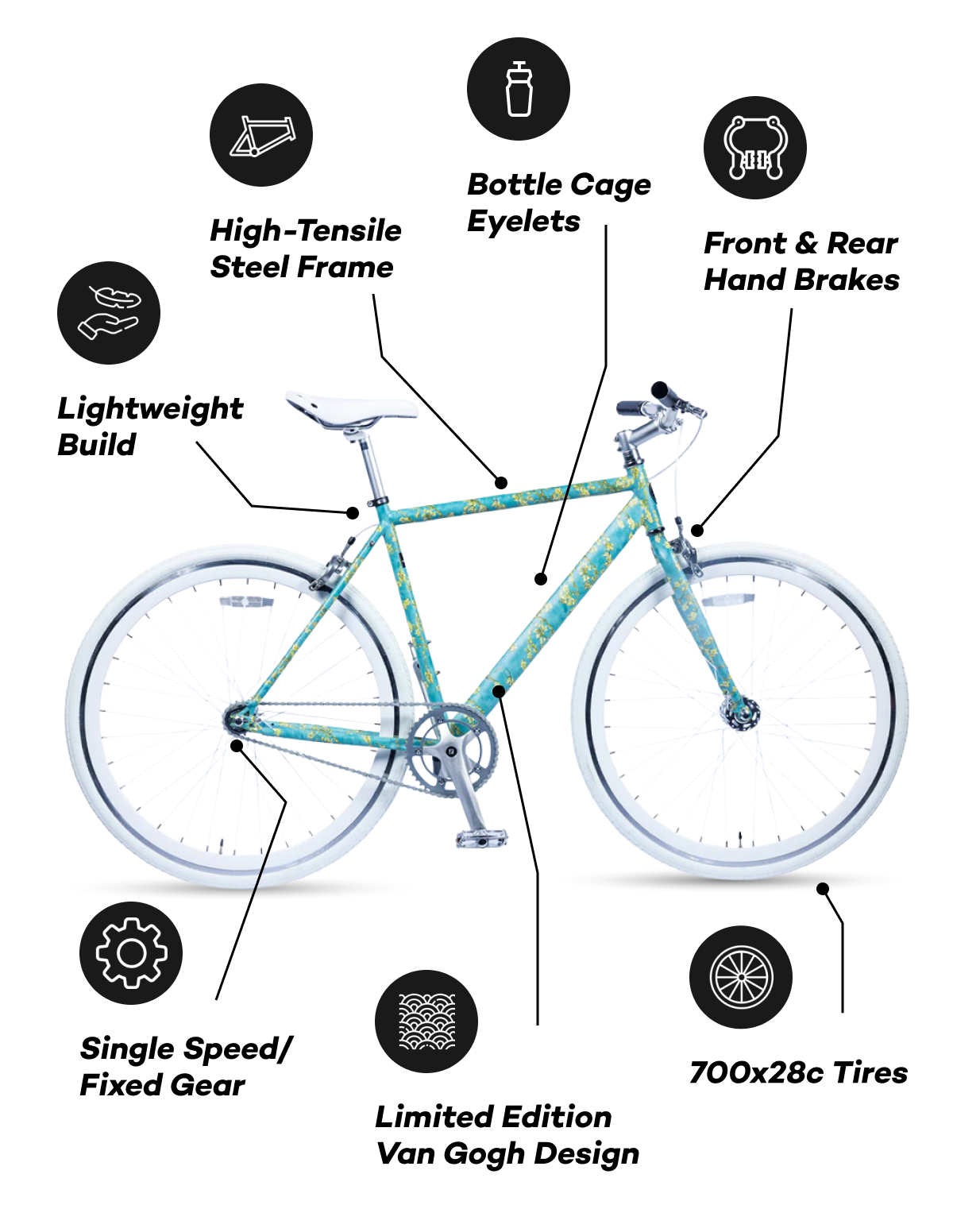 Bicycle features: steel frame, lightweight, single speed, Van Gogh design, bottle cage eyelets, hand brakes.