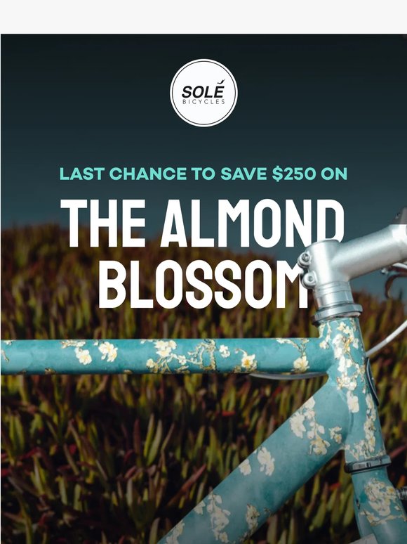 Save $250 On The Almond Blossom ☁️