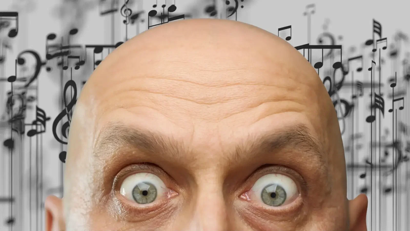 I'm an image